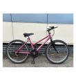 Falcon Mont Blanc Junior Bicycle